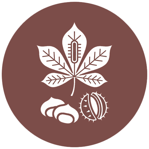 Экстракт конского каштана